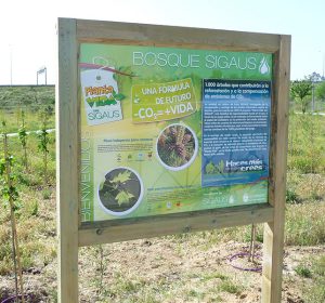 Primer Bosque SIGAUS 1