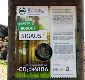Tercer Bosque SIGAUS 1