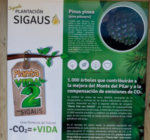 Segundo Bosque SIGAUS 1