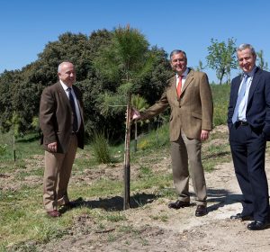 Tercer Bosque SIGAUS 4