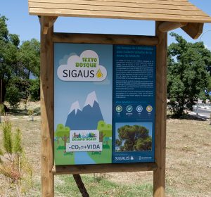 bosque06_galeria_01