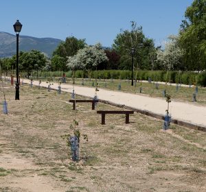 bosque06_galeria_02