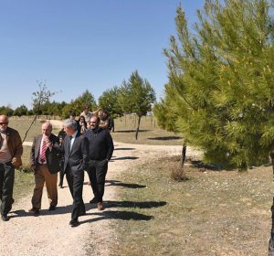 plantacion8_SIGAUS4
