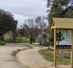 11BosqueSigaus00004