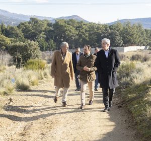 _Bosque Guadarrama_19_baja _Bosque Guadarrama_19_baja